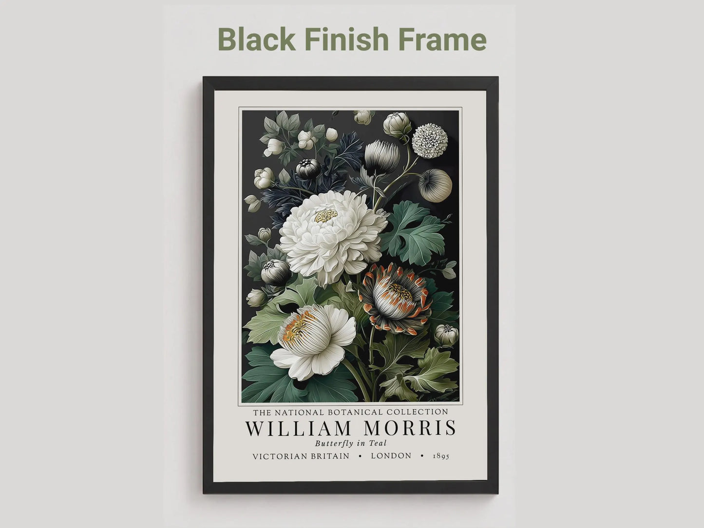 Moody Pimpernel — Exhibition