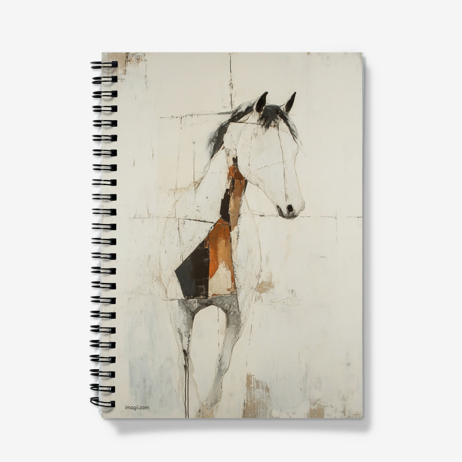 Standard Notebooks