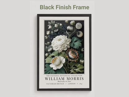 Moody Pimpernel — Exhibition