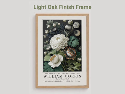 Moody Pimpernel — Exhibition
