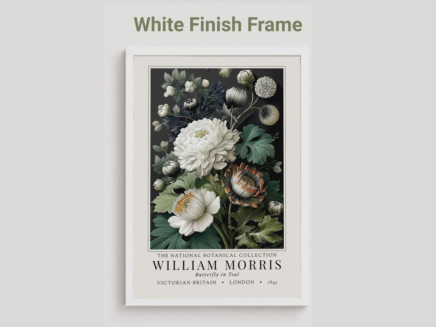 Moody Pimpernel — Exhibition