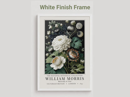 Moody Pimpernel — Exhibition