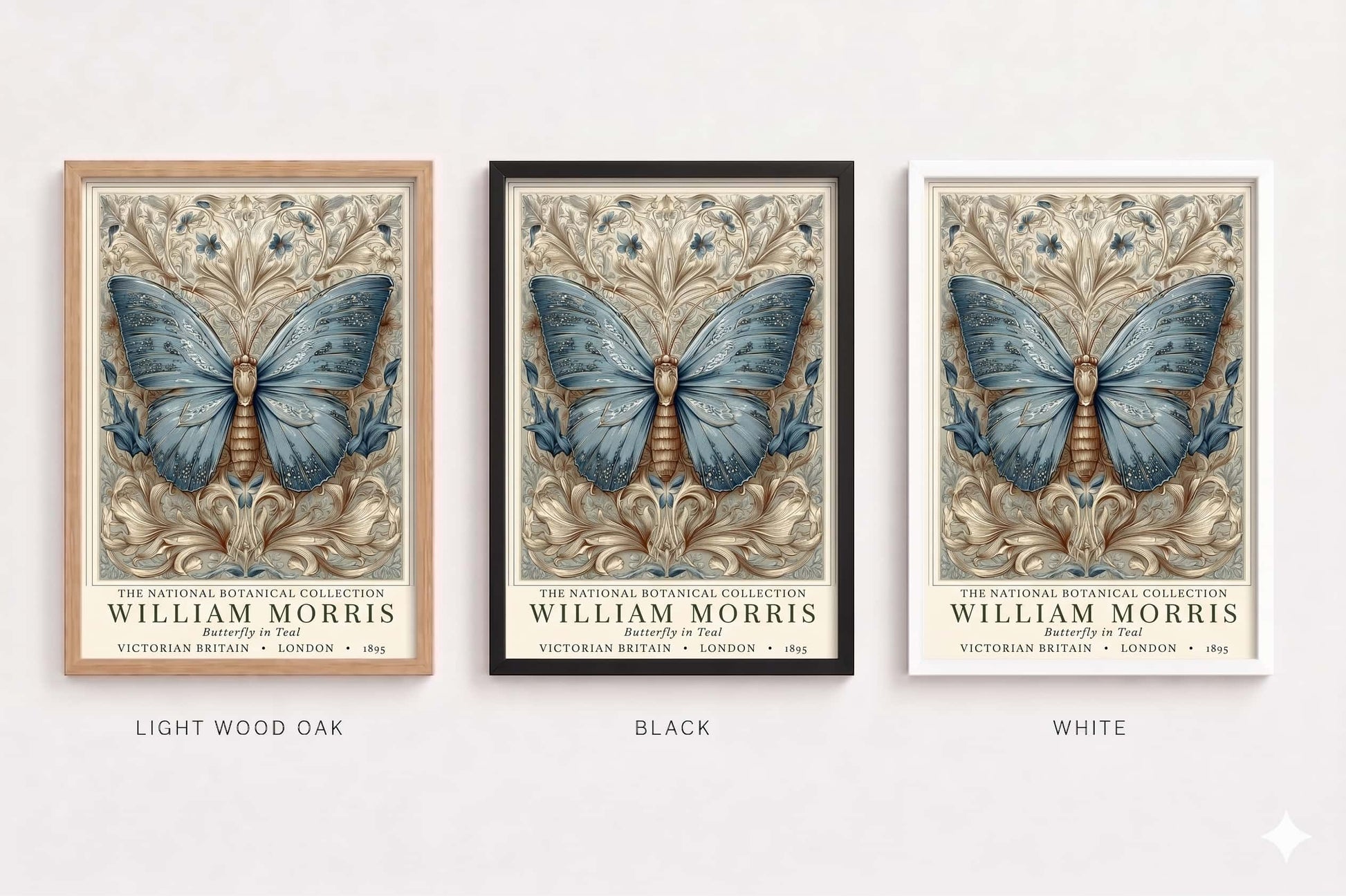 Three framed prints of butterflies by William Morris on a white background.