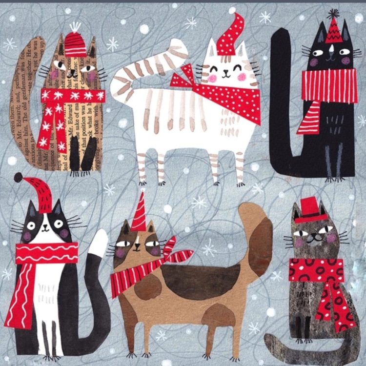 6 Christmas Cats on Grey - imagii Greeting Cards