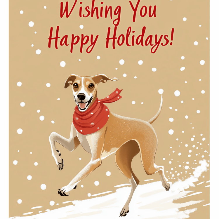 Christmas Dog Card 7 - imagii Greeting Card