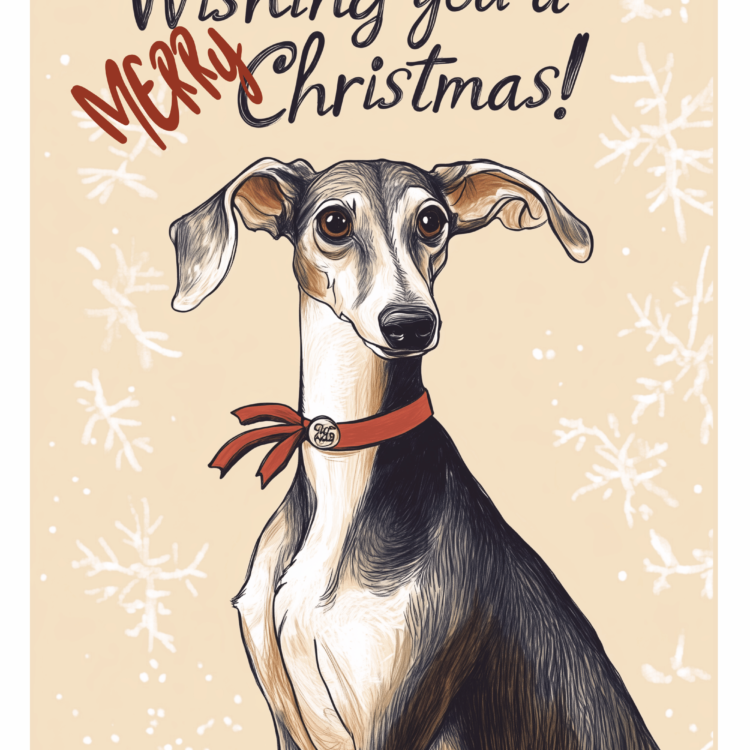 Christmas Dog Card 9 - imagii Greeting Card